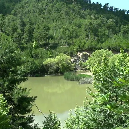 公寓 尤里卡公寓